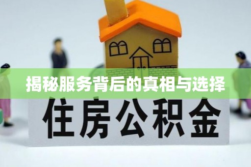 钟楼揭秘服务背后的真相与选择