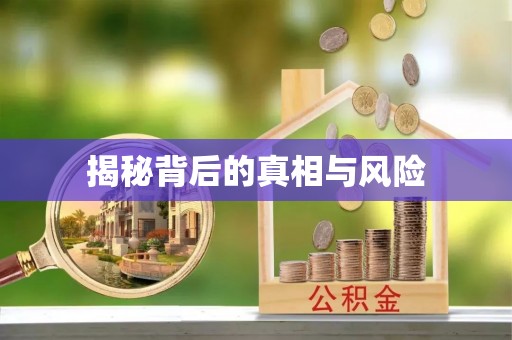 钟楼揭秘背后的真相与风险