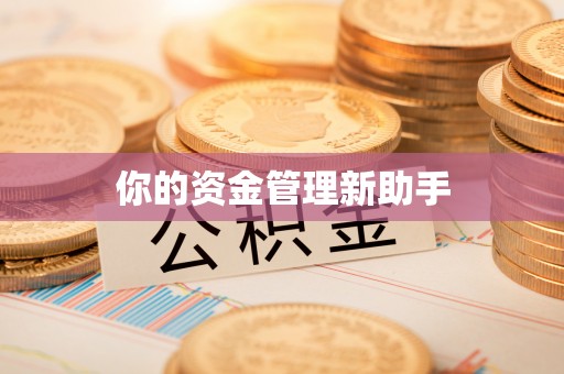 钟楼你的资金管理新助手