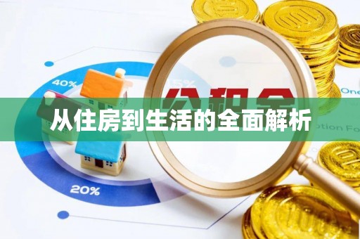 钟楼从住房到生活的全面解析