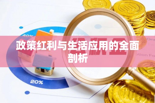 钟楼政策红利与生活应用的全面剖析